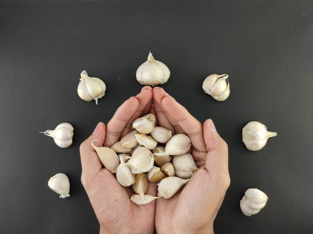 istockphoto-1473723081-612x612