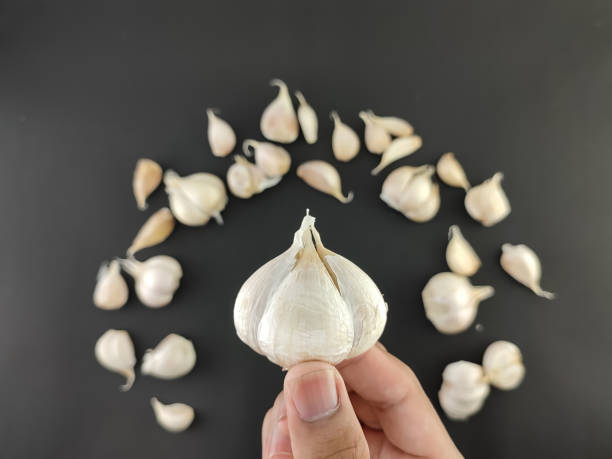 istockphoto-1473907029-612x612