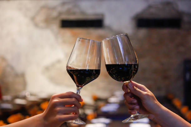 Two female friends toasting with red wine