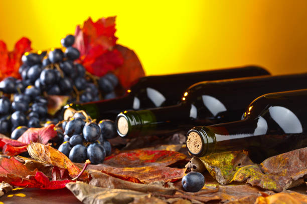 Red wine bottles , grapes and dry vine leaves .